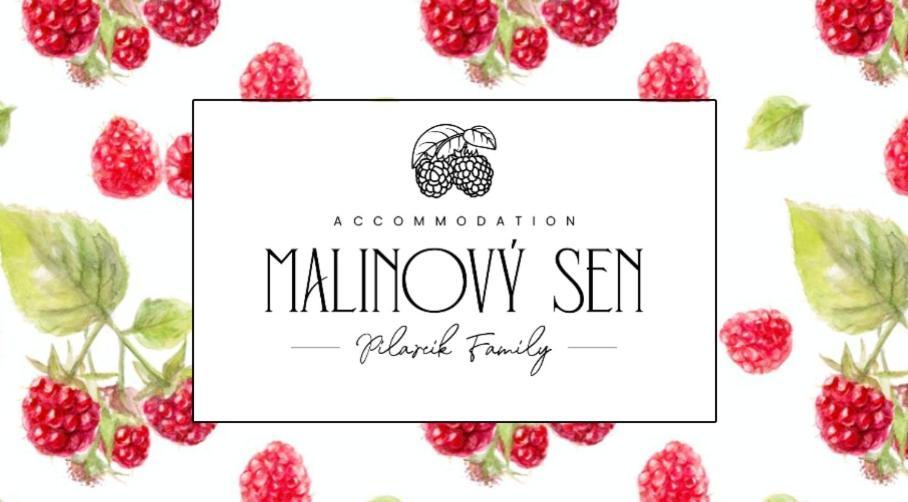 Bed and Breakfast Malinovy Sen Габовка Екстер'єр фото